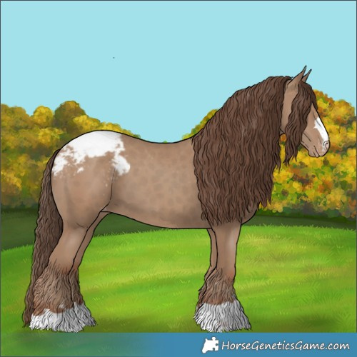 Horse Color:Classic Champagne Snowcap 