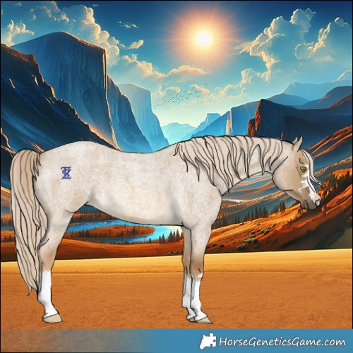 Horse Color:Chocolate Palomino Roan Dun 