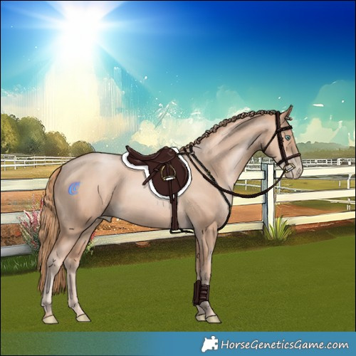 Horse Color:Gold Champagne Pearl Rabicano and Gold Champagne Pearl Rabicano