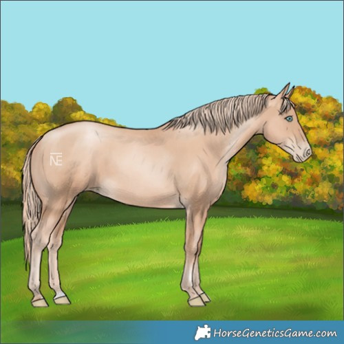 Horse Color:Gold Champagne Pearl Rabicano and Gold Champagne Pearl Rabicano