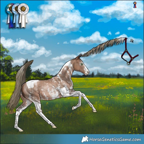 Horse Color:Gray Liver Chestnut Pearl Mushroom Sabino Tobiano Rabicano 