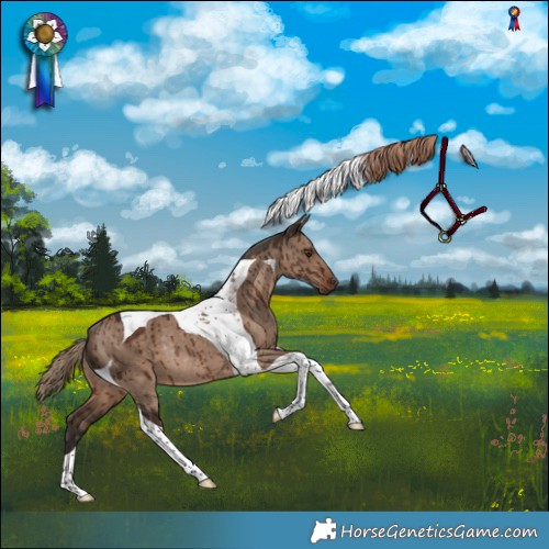 Horse Color:Liver Red Dun Tobiano Rabicano Brindle