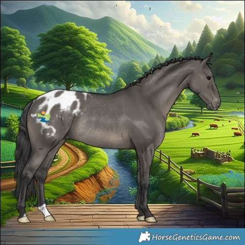 Horse Color:Grullo Blanket Rabicano 