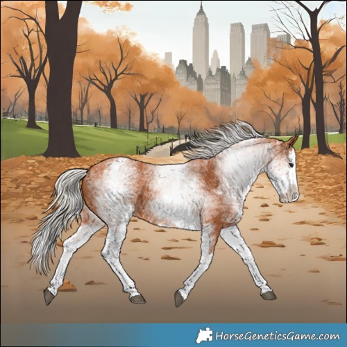 Horse Color:White Spotted Silver Bay Splash 