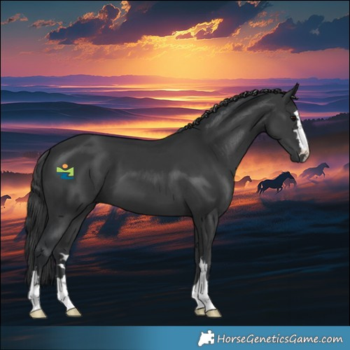 Horse Color:Black 