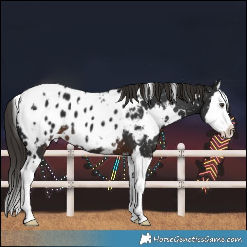 Horse Color:White Spotted Liver Chestnut Splash Blanket 