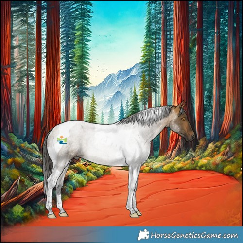 Horse Color:Gray Buckskin Dun Tobiano Rabicano