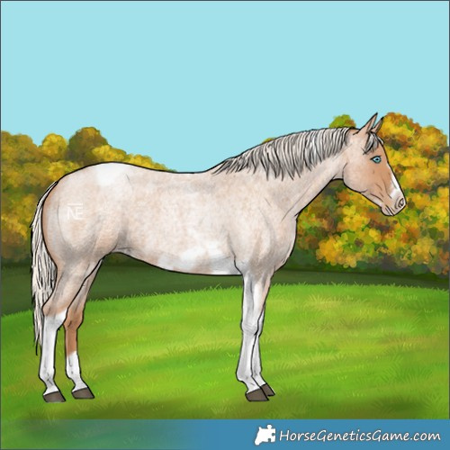 Horse Color:Silver Blue Roan Pearl Tobiano Frame