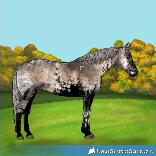 Horse Color:Void White Spotted Silver Brown Ice Onyx Mushroom Sabino Rabicano