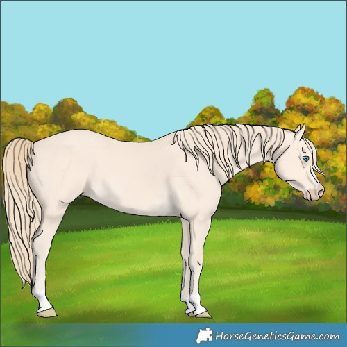 Horse Color:Perlino 