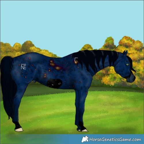 Horse Color:ERROR: UNKNOWN ANOMALY