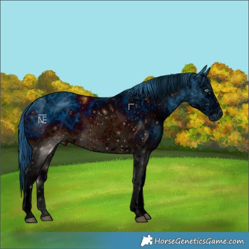 Horse Color:ERROR: UNKNOWN ANOMALY