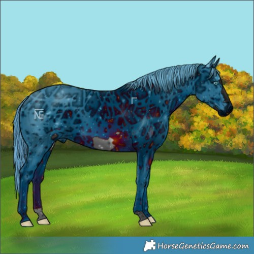 Horse Color:ERROR: UNKNOWN ANOMALY