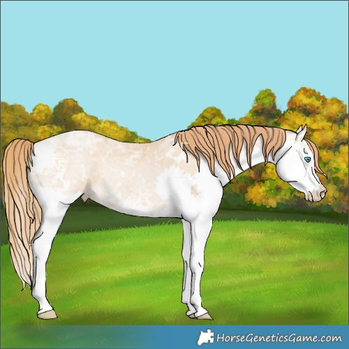Horse Color:White Spotted Smoky Black Ice Pearl Splash
