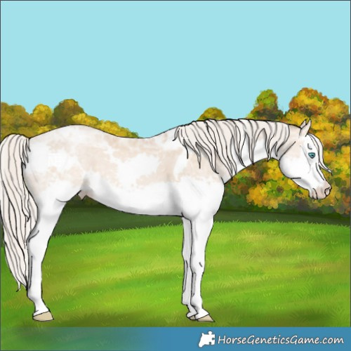 Horse Color:White Spotted Chocolate Palomino Ice Pearl Splash 