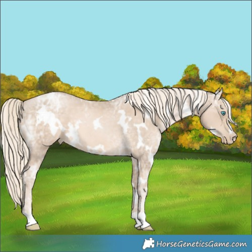 Horse Color:White Spotted Chocolate Palomino Ice Pearl 
