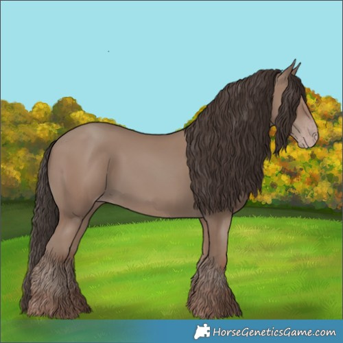 Horse Color:Classic Champagne 