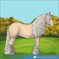 Horse Color:Gold Cream Champagne Dun 