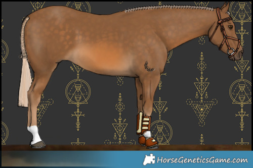 Horse Color:Chocolate Palomino