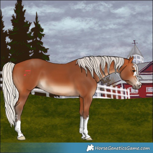 Horse Color:Silver Bay