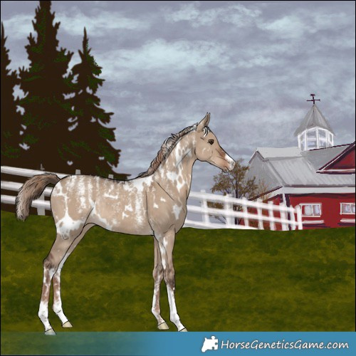 Horse Color:Powder White White Spotted Liver Red Dun Rabicano 