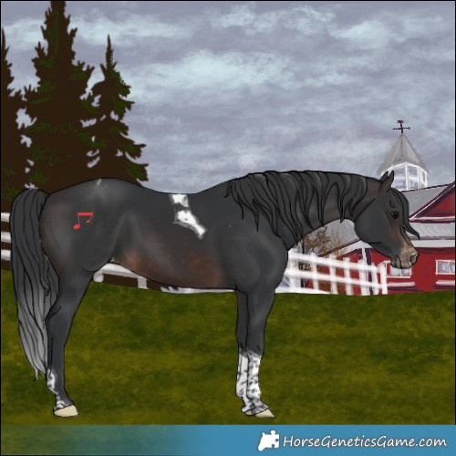 Horse Color:Brown Tobiano Varnish