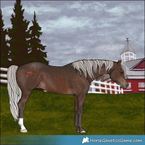 Horse Color:Silver Brown