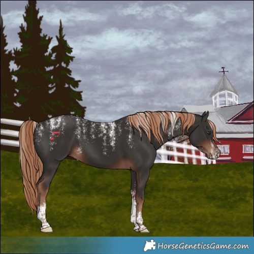 Horse Color:Powder White Liver Chestnut 