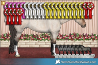 Horse Color:Bay Roan Dun 