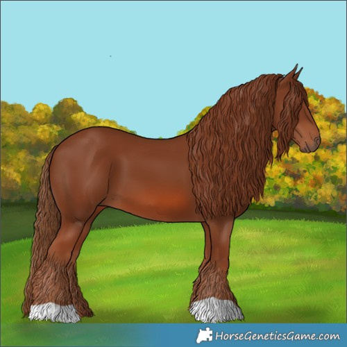 Horse Color:Chestnut 