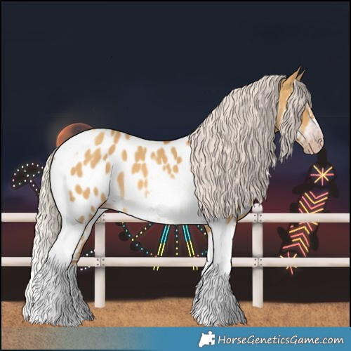 Horse Color:Gray Silver Amber Cream Champagne Dun Splash Tobiano Frame Near Leopard Rabicano