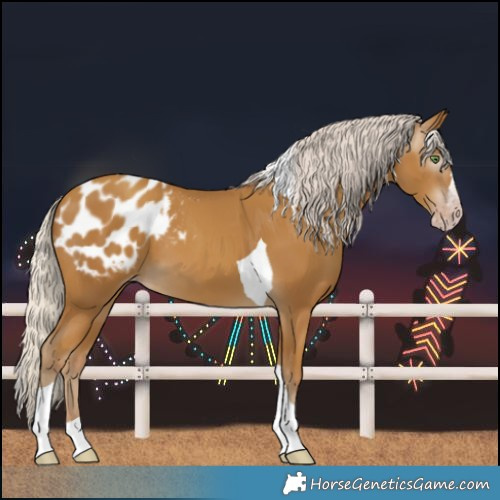 Horse Color:Gray Silver Classic Cream Champagne Splash Tobiano Blanket 
