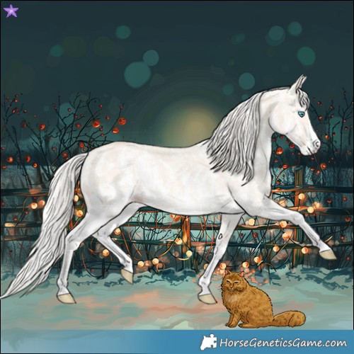 Horse Color:Cremello Dun Sabino  and Cremello Dun Sabino 