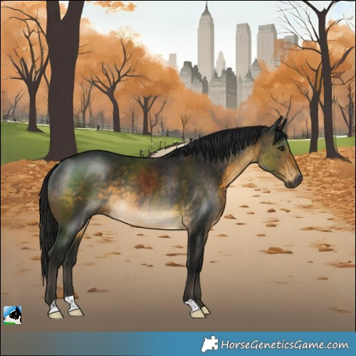 Horse Color:Gray Buckskin Rabicano 