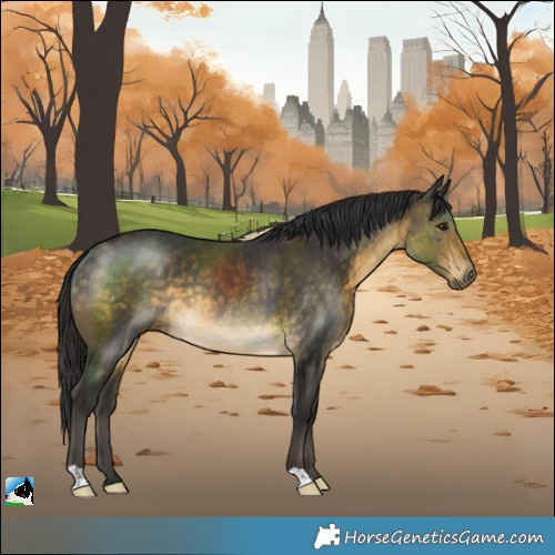 Horse Color:Buckskin Rabicano 