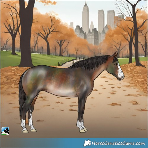 Horse Color:Bay Rabicano 