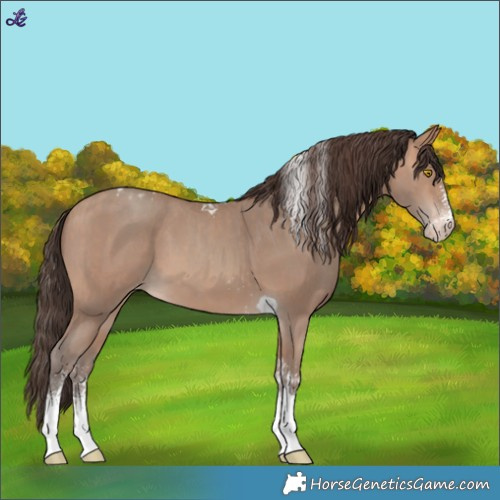 Horse Color:Amber Champagne Sabino Tobiano Varnish  and Sable Champagne Sabino Tobiano Varnish 