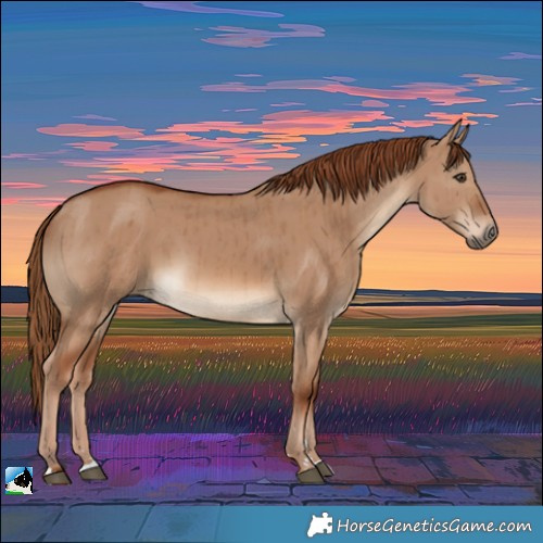 Horse Color:Red Dun Brindle