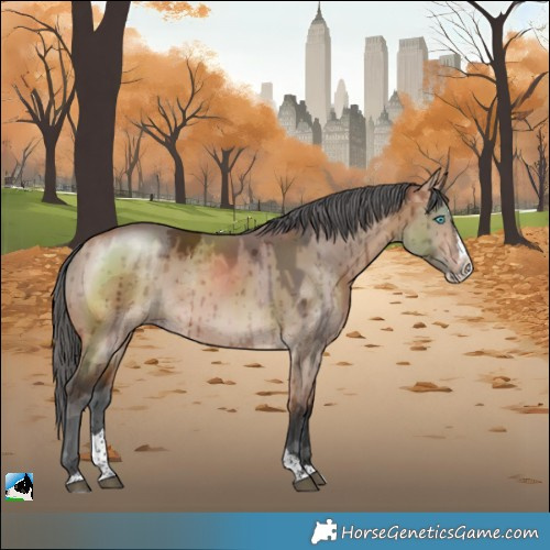 Horse Color:Bay Dun Merle Sabino Splash Rabicano Brindle