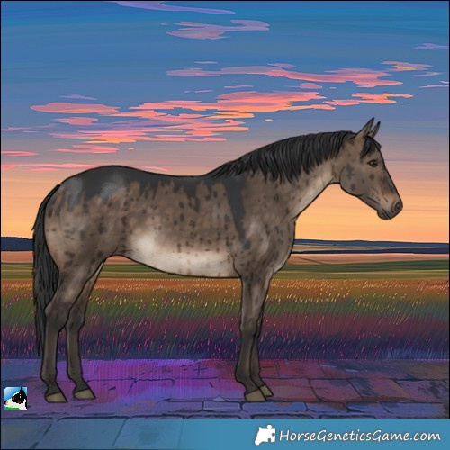 Horse Color:Brown Dun Brindle 