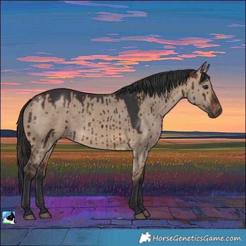 Horse Color:White Spotted Brown Dun Rabicano Brindle 