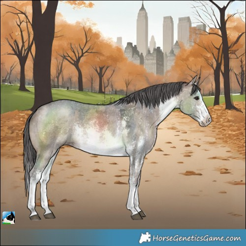 Horse Color:White Spotted Brown Dun Merle Sabino Splash