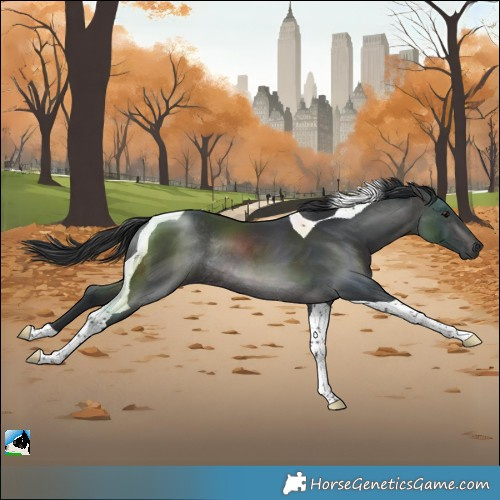Horse Color:Platinum Brown Tobiano Rabicano 