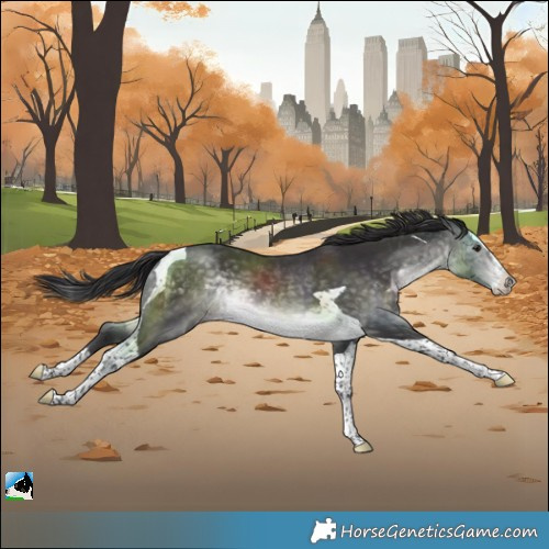 Horse Color:Platinum Buckskin Splash Tobiano 