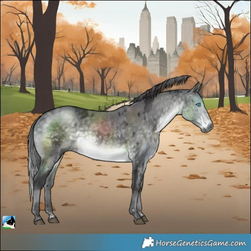 Horse Color:Platinum Buckskin Mushroom Merle Rabicano 