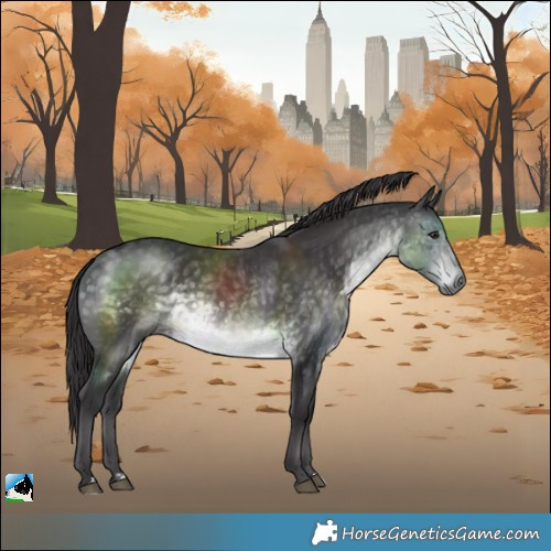 Horse Color:Platinum Buckskin Mushroom Rabicano 