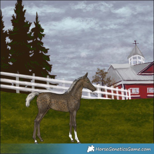Horse Color:Silver Buckskin Tobiano
