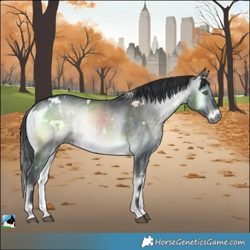 Horse Color:White Spotted Brown Chinchilla Onyx