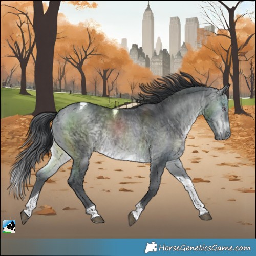 Horse Color:Brown Chinchilla Tobiano 