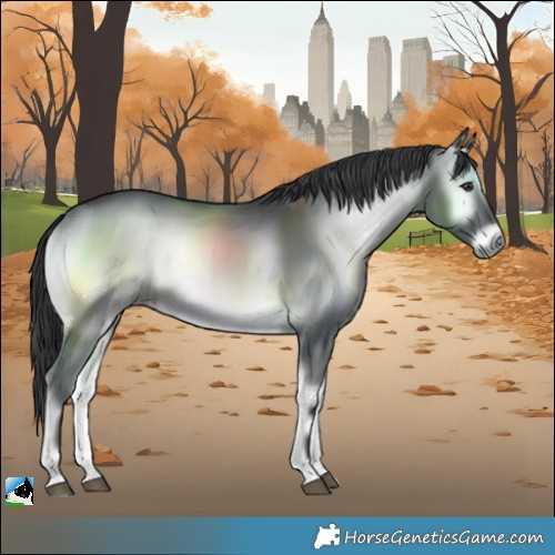 Horse Color:Blue Onyx Chinchilla 
